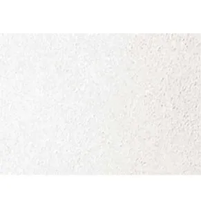 Gypsum Ceiling Tile Type 01