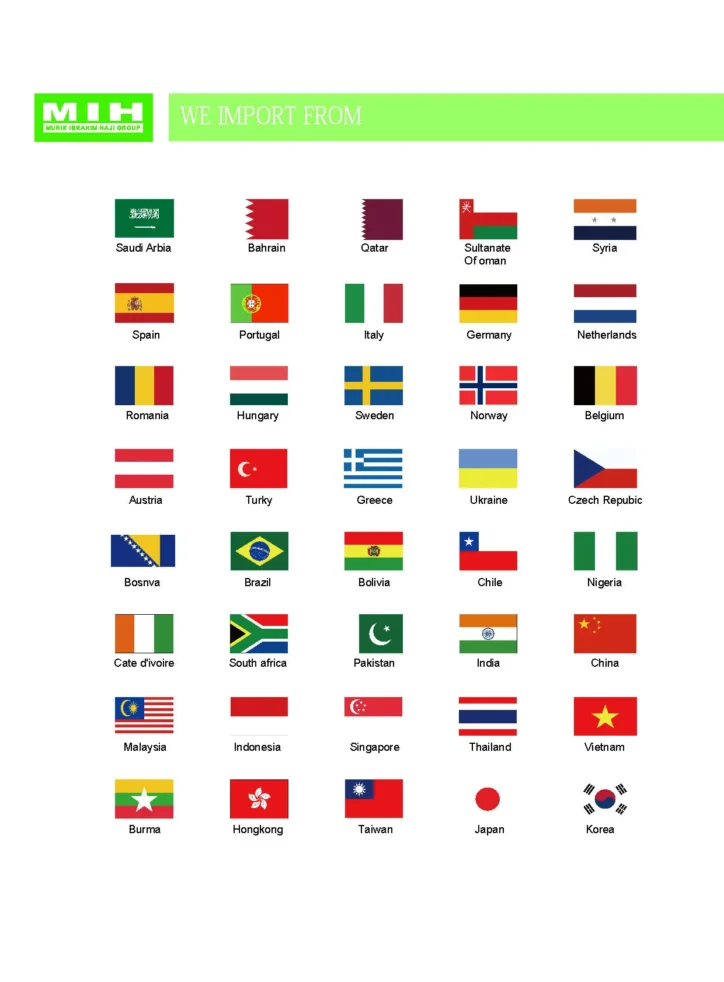 Countries' Flags